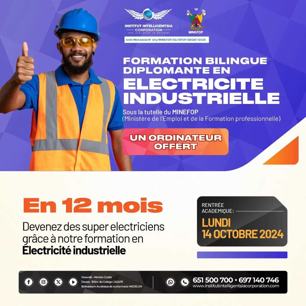 Electricite industrielle